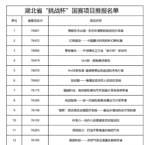 典型项目(部分)(图10) 典型项目(部分)(图10)